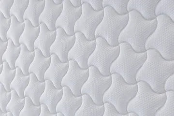 Acolchado del Ergonomic Sport