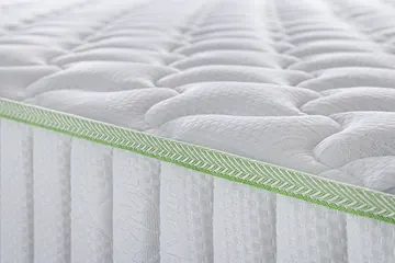 Ribete verde y plataforma del Ergonomic Sport